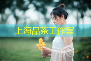 上海养生网：地下世界庇护所修改